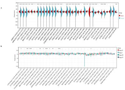 Multi-omics pan-cancer analysis reveals the prognostic values and immunological functions of PPA2, with a spotlight on breast cancer